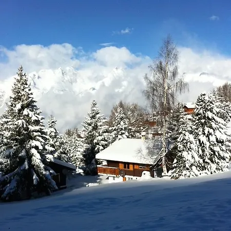 Chalet 